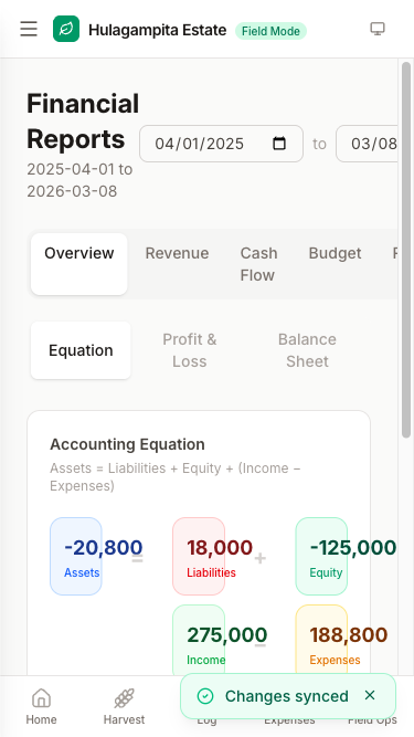 Financial reports