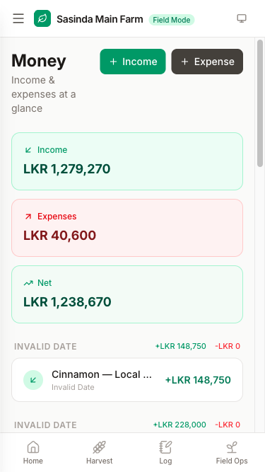 Money overview
